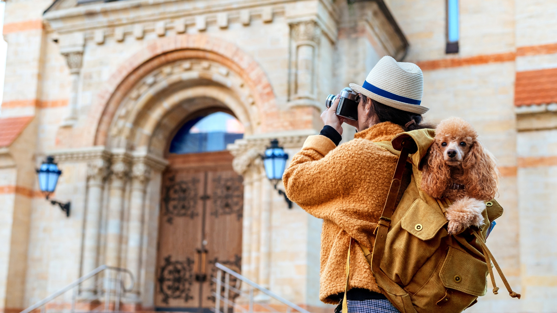From “Pet Economy” to “Travelling with Pets”: The Rise of a New Consumer Trend