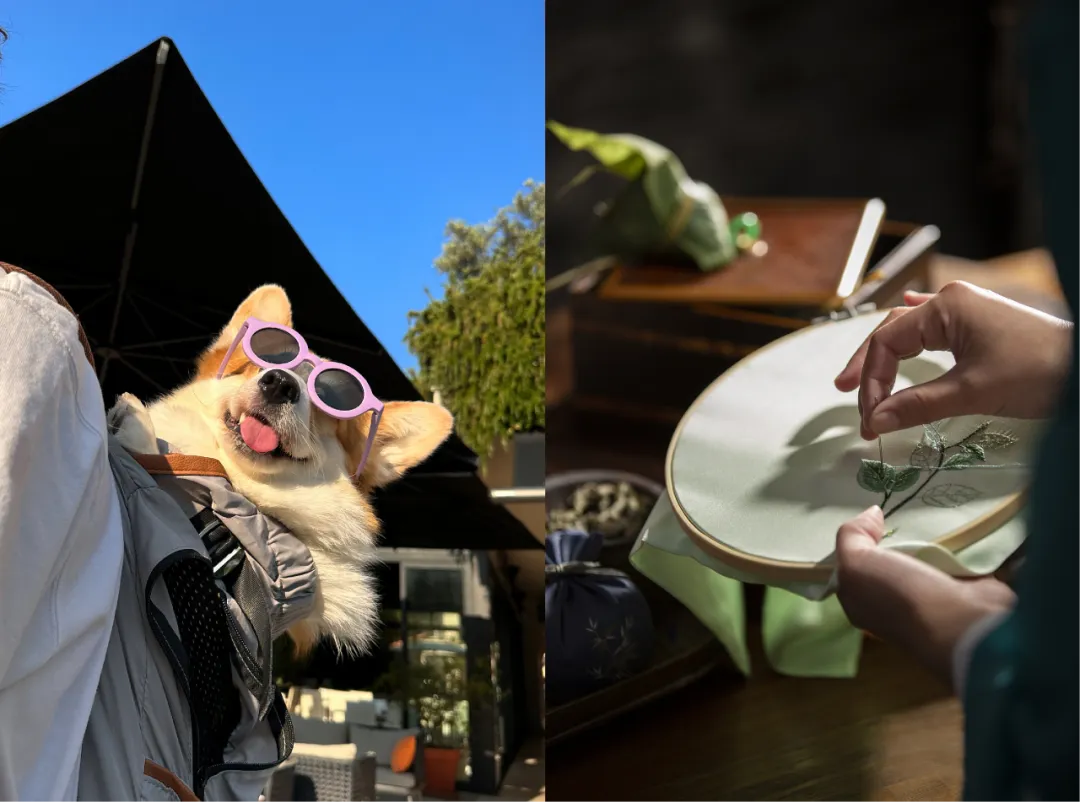 From Pet‑Friendly Skiing to ICH Craft Tours: How Niche Travel is Creating Extraordinary Experiences in 2026