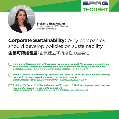 Corporate Sustainability: Why companies should develop policies on sustainability